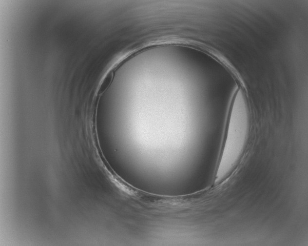 X0000055511197200508120747