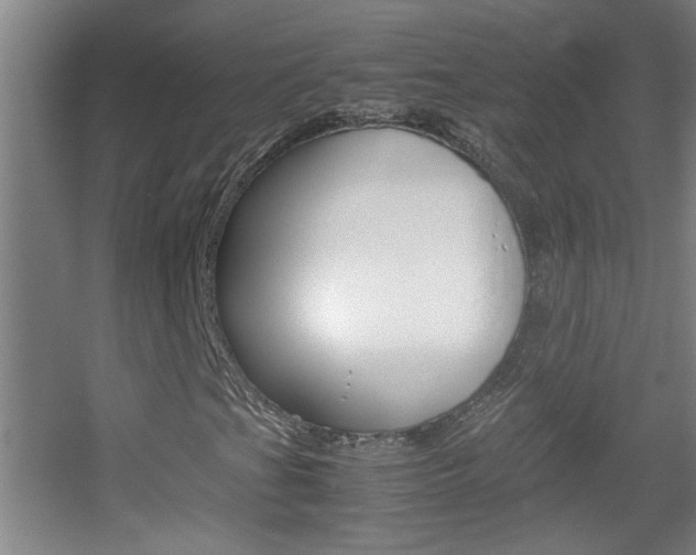 X0000055511201200508120746