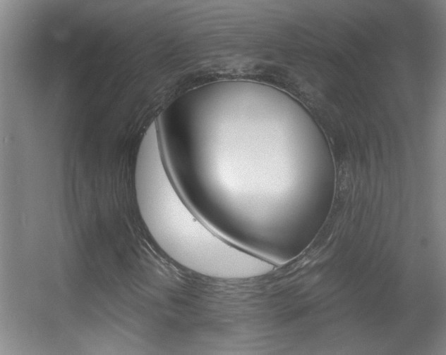X0000055511202200508120746