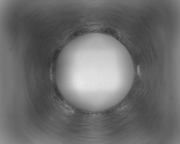 X0000055511203200508120746