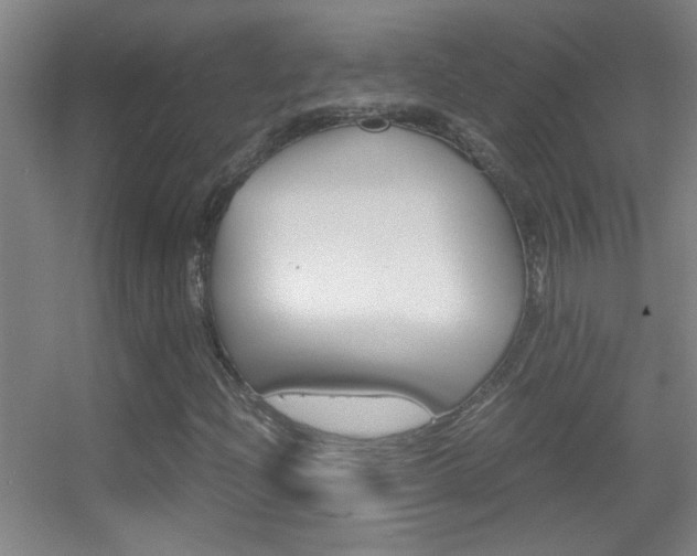X0000055511204200508120746