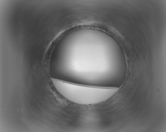 X0000055511208200508120747