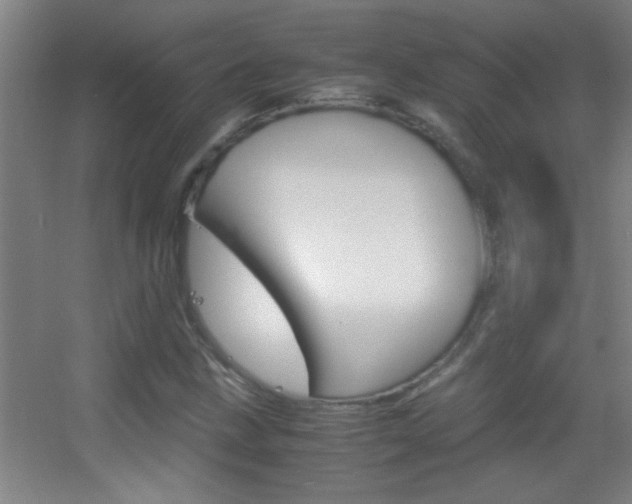 X0000055511211200508120747