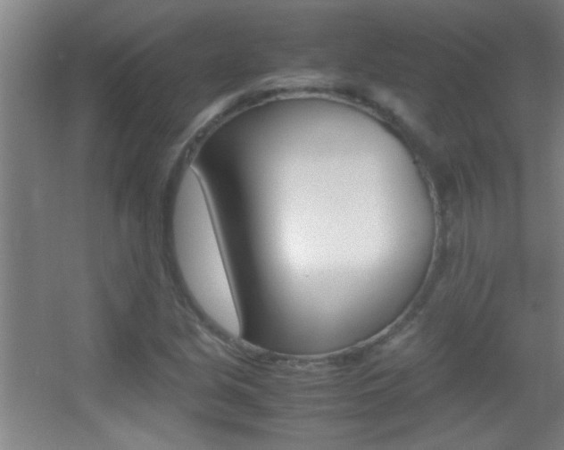 X0000055511213200508120747