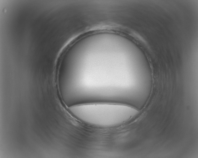 X0000055511216200508120747