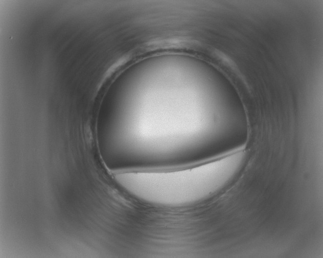 X0000055511218200508120747