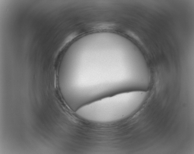 X0000055511219200508120747