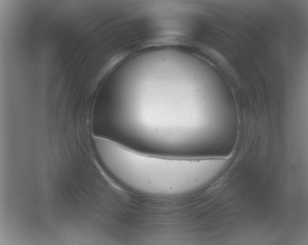 X0000055511225200508120747