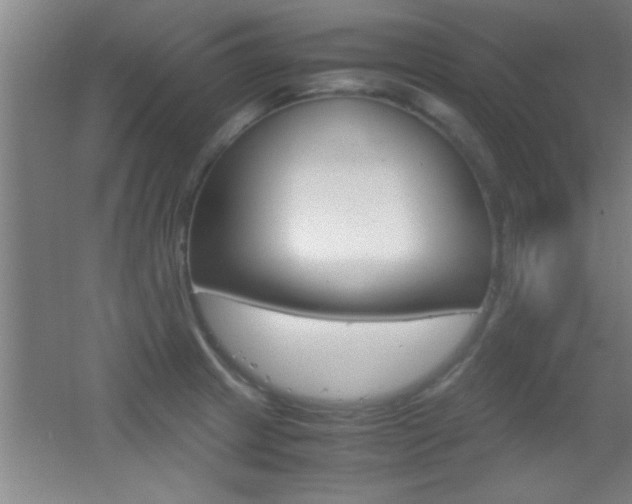 X0000055511233200508120747