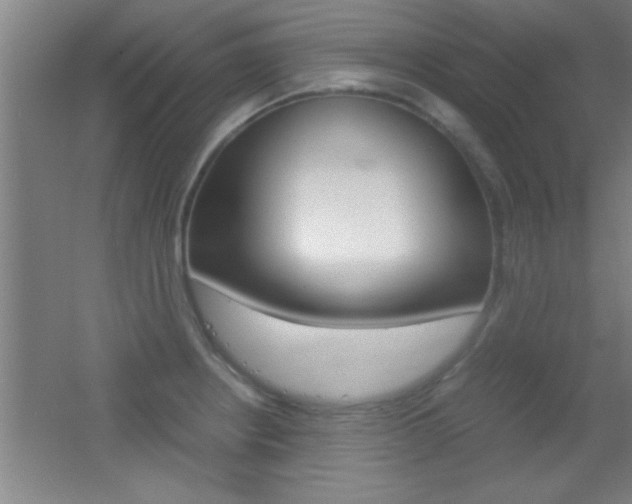 X0000055511234200508120747