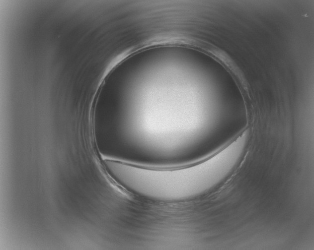 X0000055511242200508120747