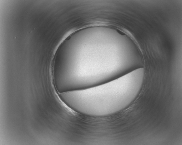 X0000055511243200508120747