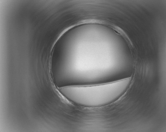 X0000055511244200508120747