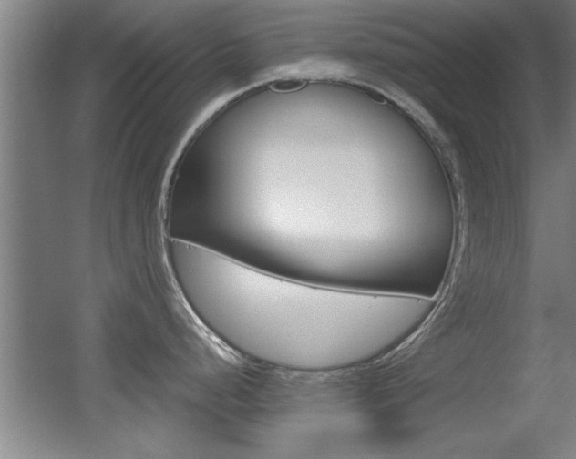 X0000055511248200508120747