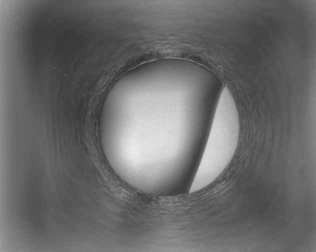 X0000055511249200508120746