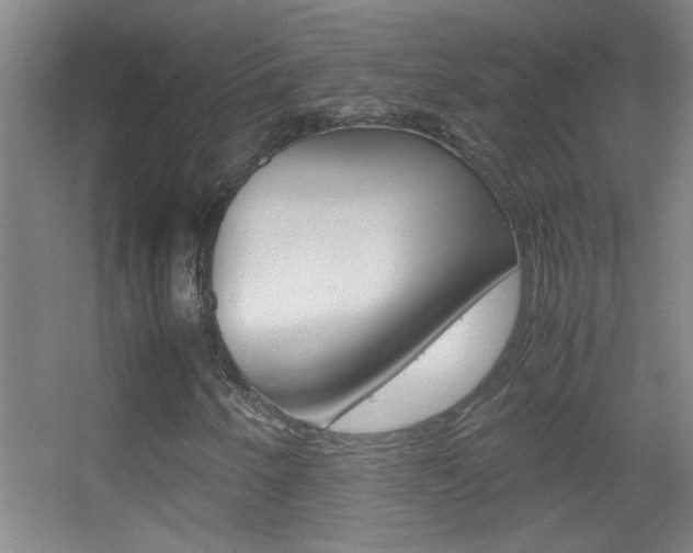 X0000055511250200508120746