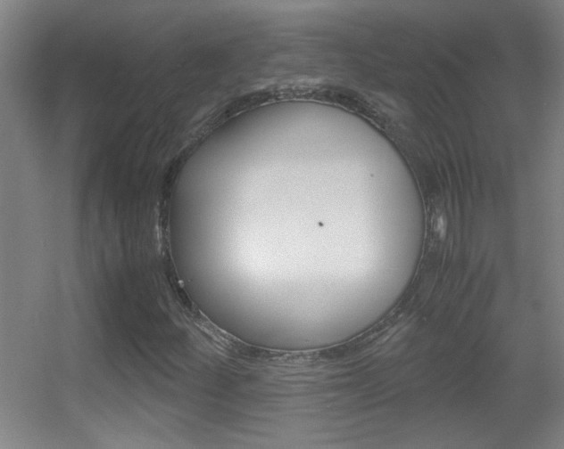 X0000055511252200508120746