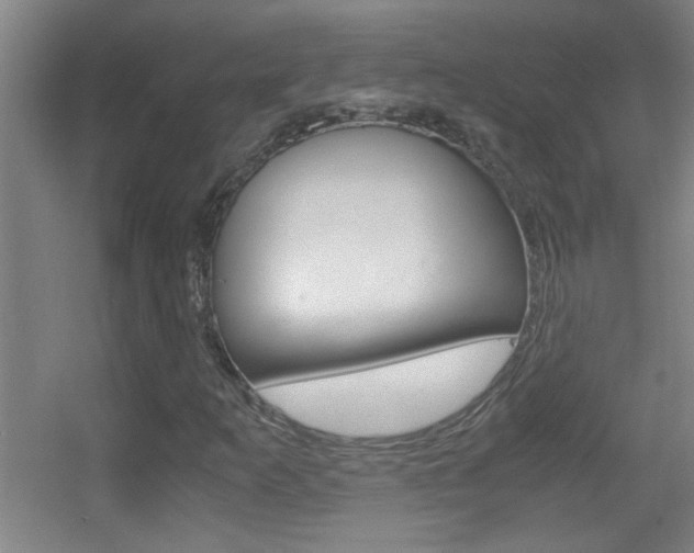 X0000055511253200508120746