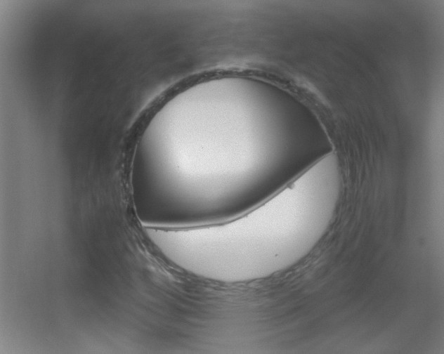 X0000055511256200508120746