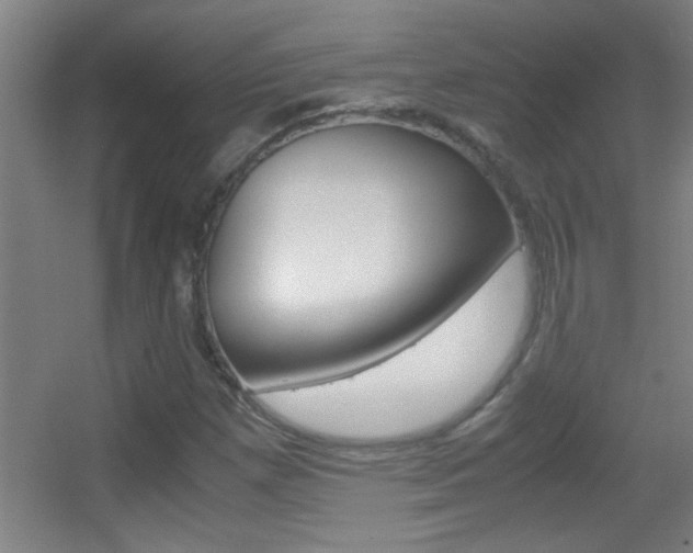 X0000055511257200508120746