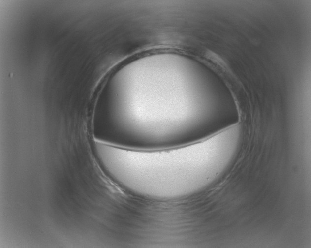 X0000055511260200508120746