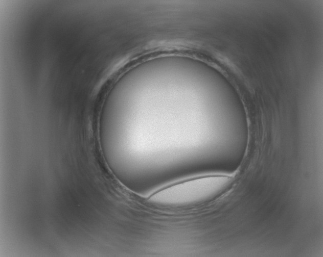 X0000055511261200508120746