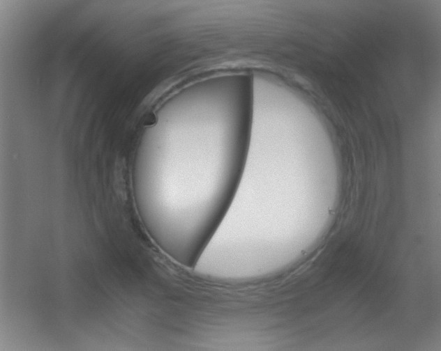 X0000055511265200508120746