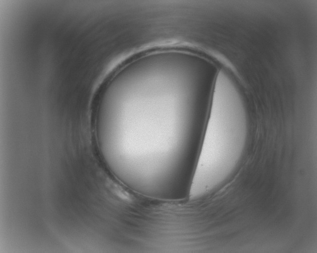 X0000055511270200508120746