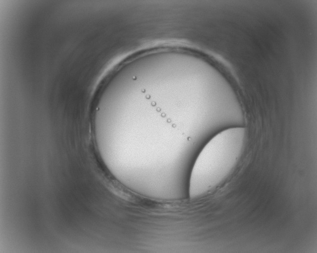 X0000055511271200508120746