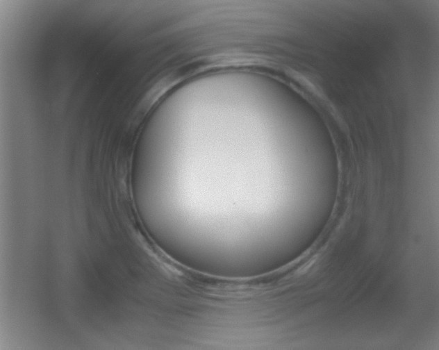 X0000055511273200508120746