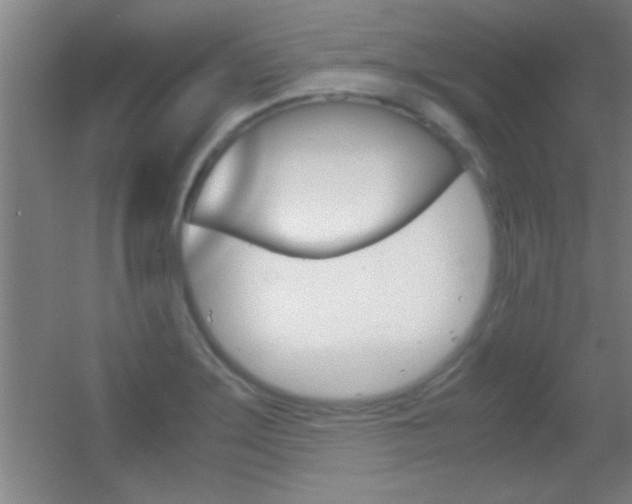 X0000055511275200508120746