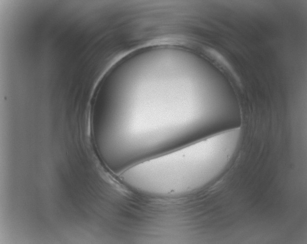 X0000055511276200508120746