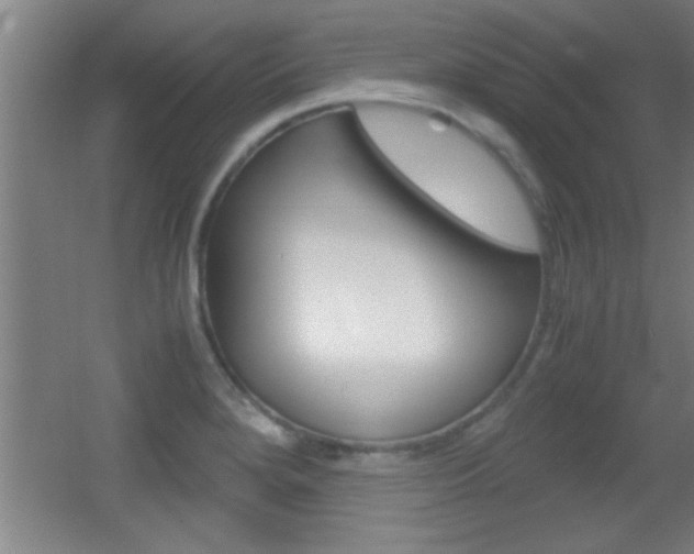 X0000055511280200508120746
