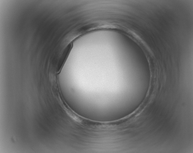 X0000055511281200508120746
