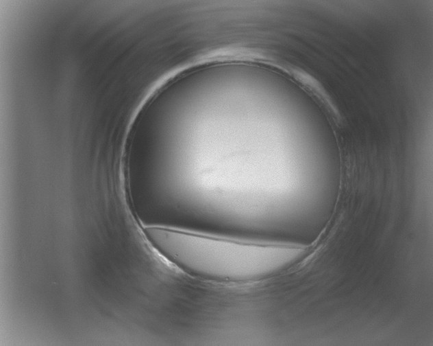X0000055511288200508120746