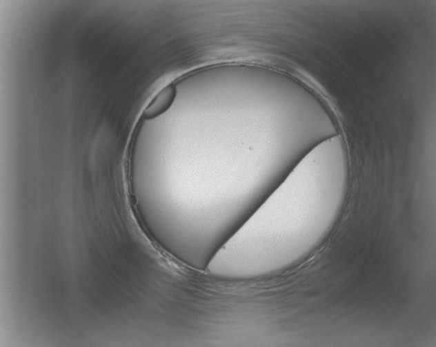 X0000055511291200508120746