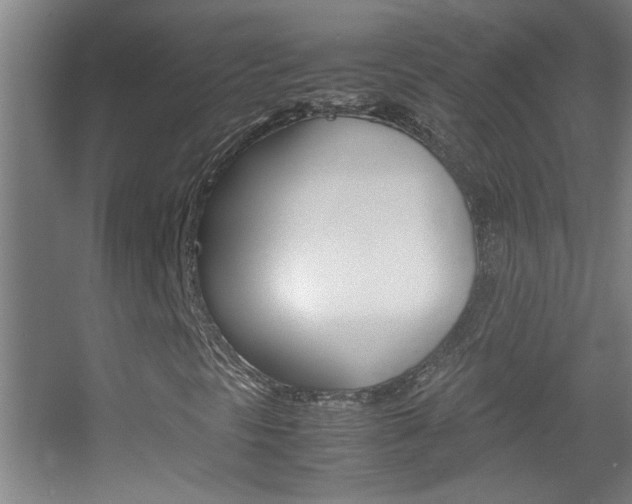 X0000055511297200508120745