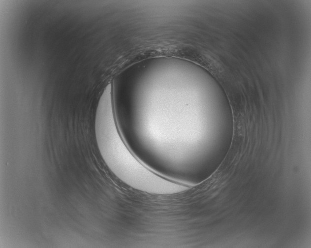 X0000055511298200508120745