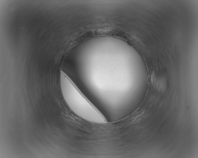 X0000055511299200508120745