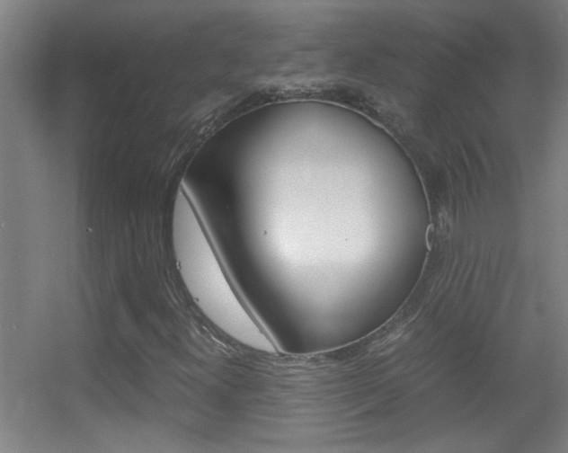X0000055511300200508120745