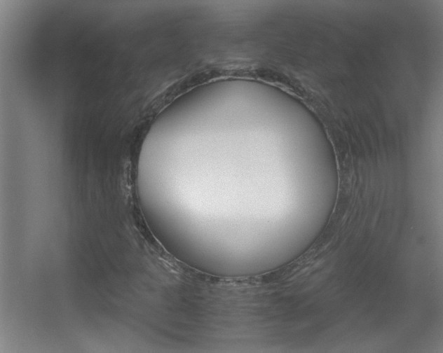 X0000055511301200508120745