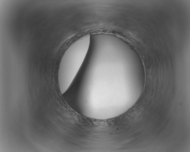 X0000055511302200508120745