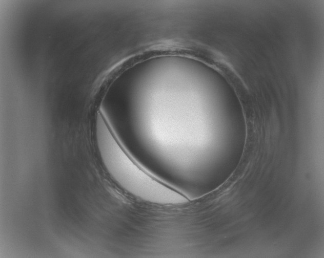 X0000055511304200508120745