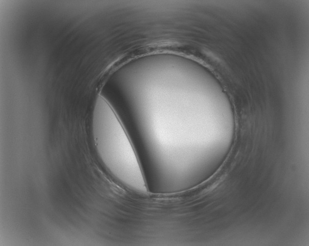 X0000055511305200508120745