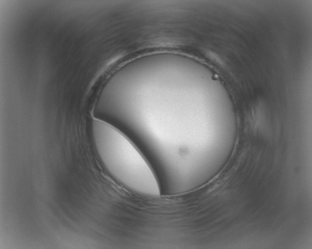 X0000055511307200508120745