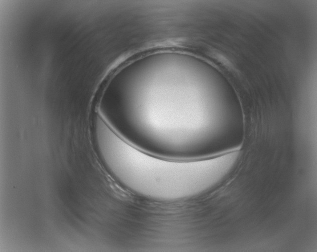X0000055511308200508120745
