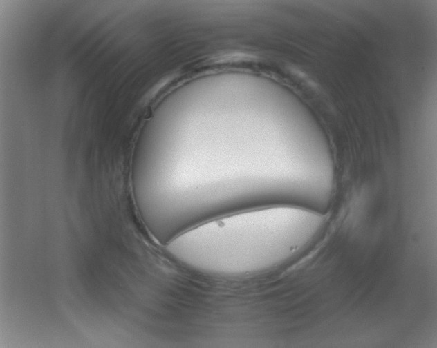 X0000055511313200508120745