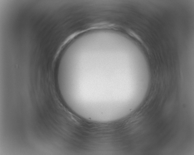 X0000055511315200508120745