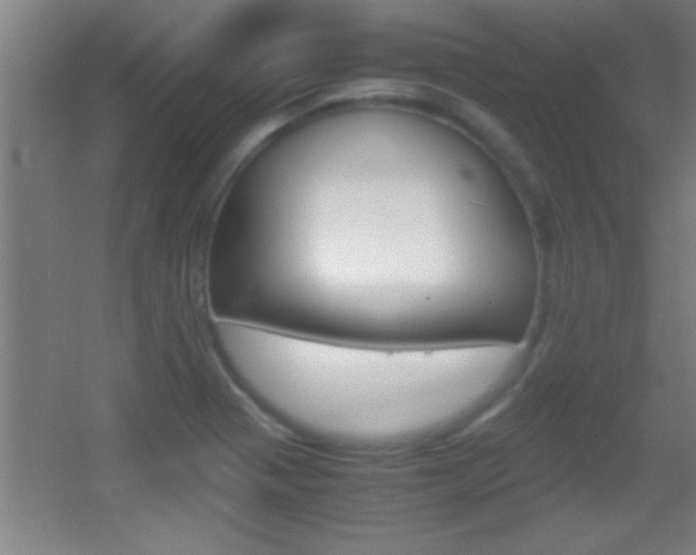 X0000055511321200508120745