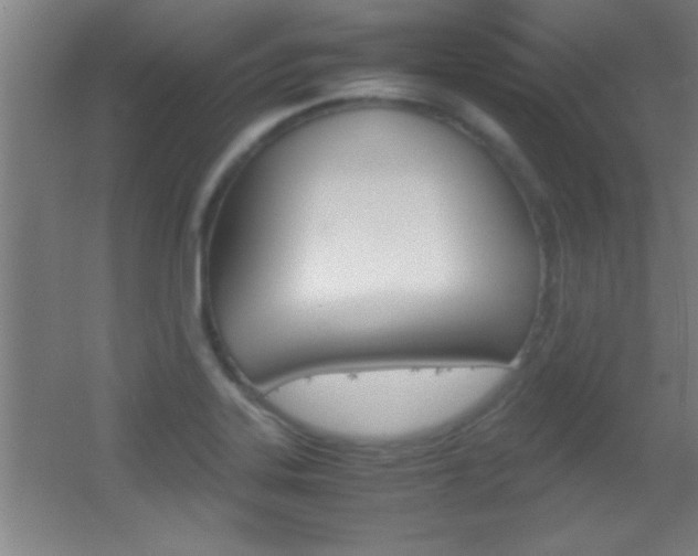 X0000055511323200508120745